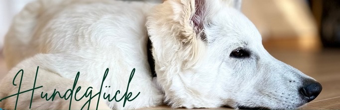 Hundeglück Header